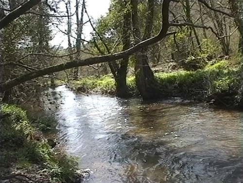 26 Mar 2000 · Hansel Mill